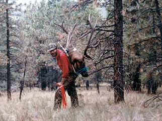 My first Arizona 6x6 bull elk.